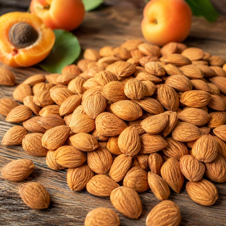 apricots-seed